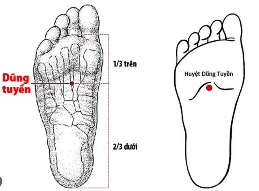 Massage: bí quyết cho giấc ngủ sâu 6 Vị trí huyệt Dũng Tuyền