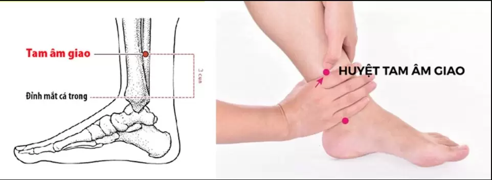 Massage: bí quyết cho giấc ngủ sâu 7 Vị trí và cách bấm huyệt Âm Giao